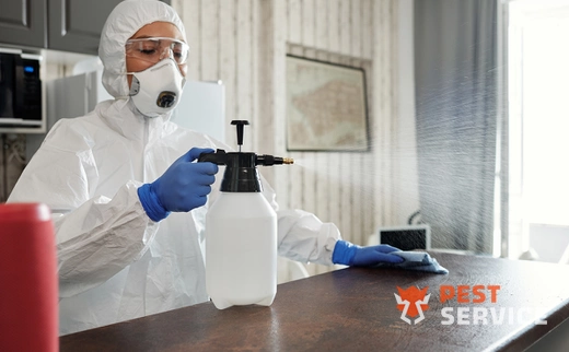 Дезинфекция в Михайловке